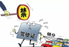 青島的朋友們注意啦，9月起禁止使用他人駕照銷