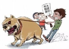 青島10月份一大波勁爆消息，你知道嗎？