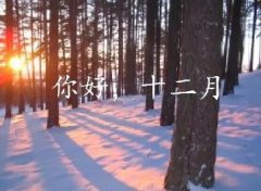 抓住2016年的尾巴給自己充充電！12月，加油！