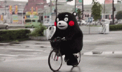 青島也有“共享單車”啦！說(shuō)騎就騎的旅程GO